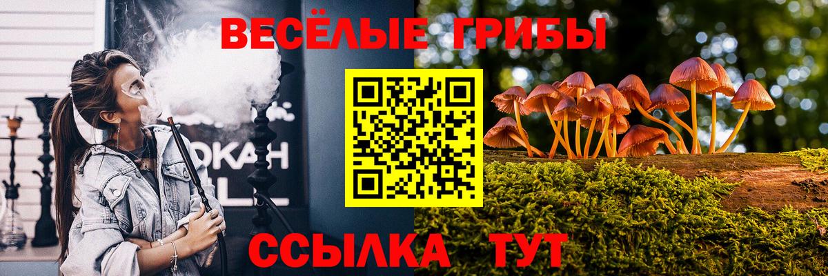 Галлюциногенные грибы GOLDEN TEACHER  Вход с VPN  Шарыпово 
